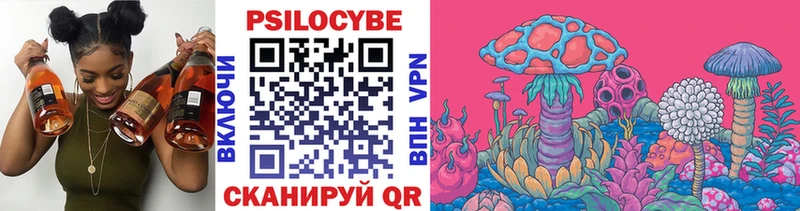 Псилоцибиновые грибы Psilocybine cubensis  Купить где  Данков 